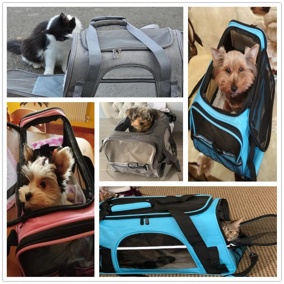 Order-Oasis™ Pet Messenger Travel Bag