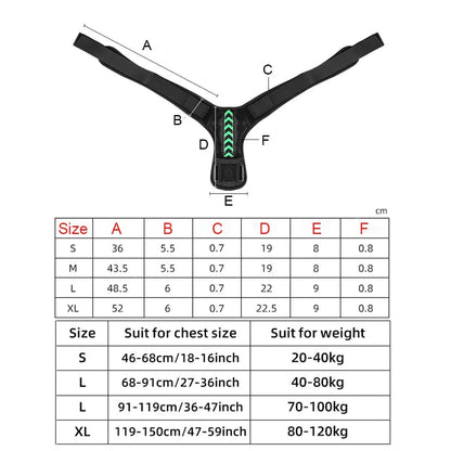 Order-Oasis™ Posture Corrector